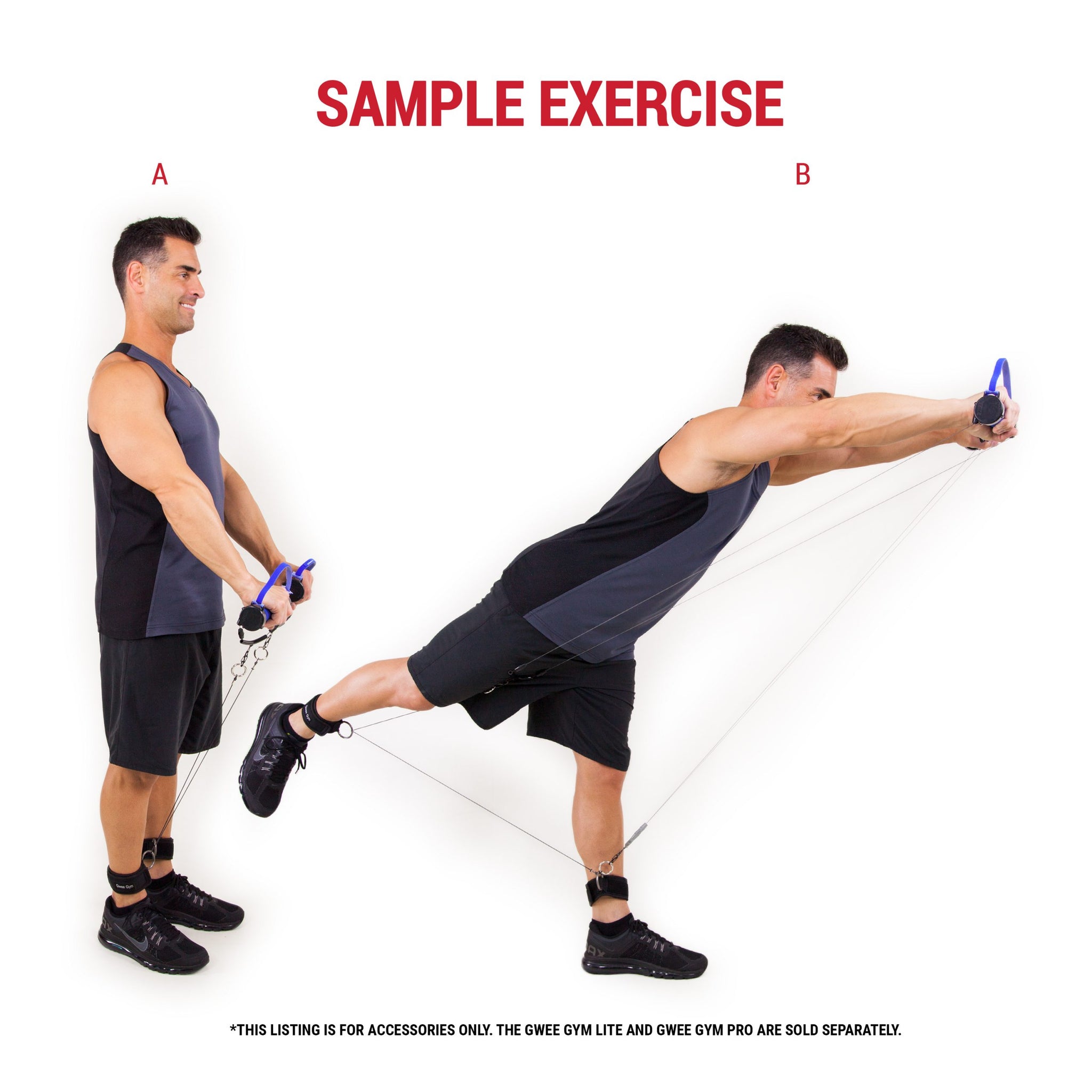 Sample fitness accessories